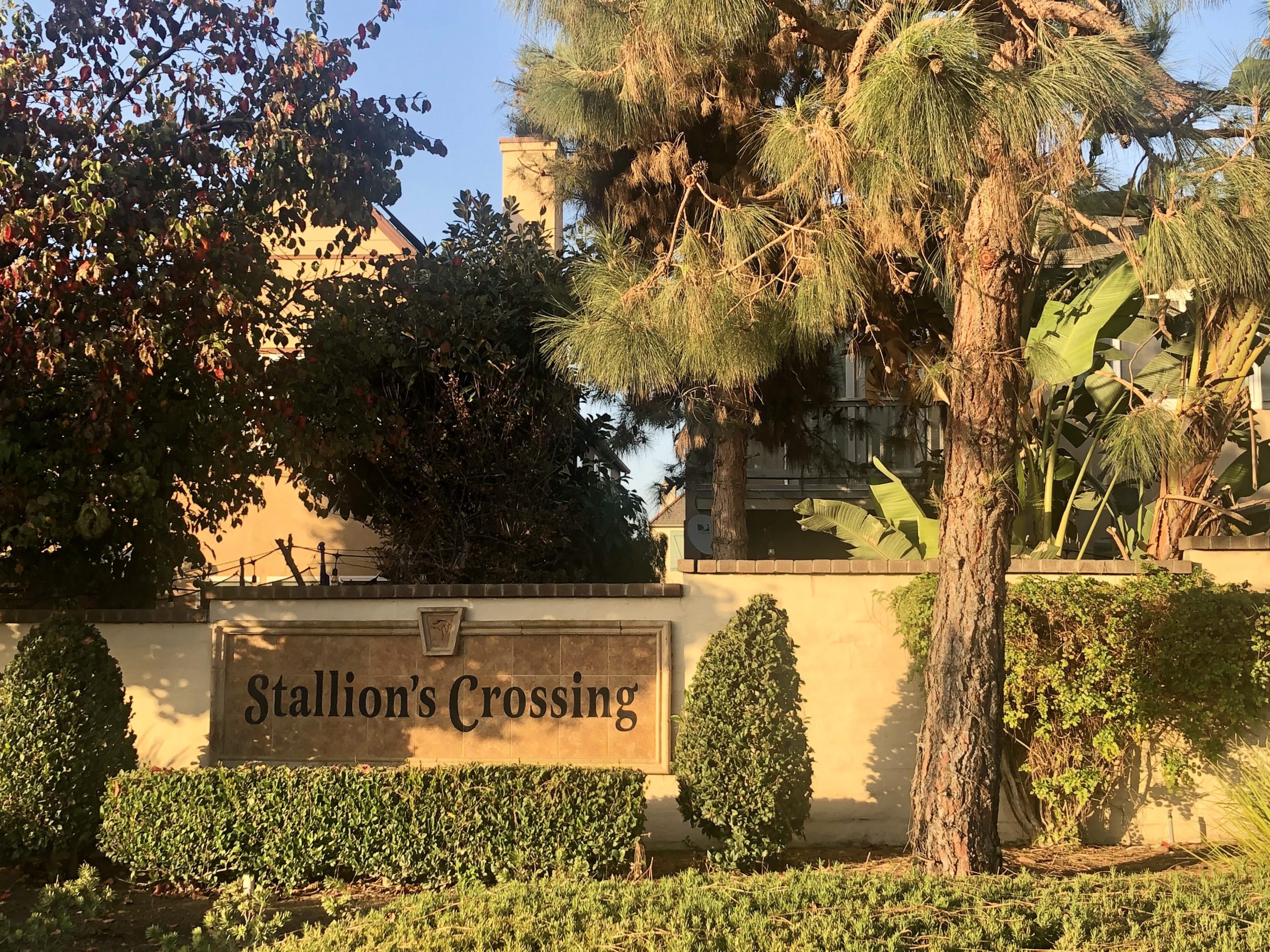 Stallion’s Crossing in North of Del Mar Heights Rd, Carmel Valley, San Diego 92130